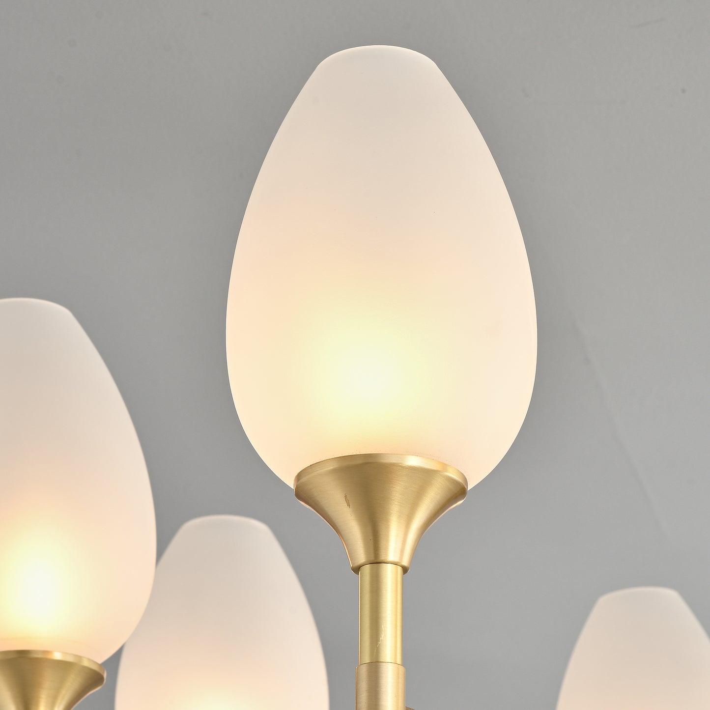 8 lights Round bud glass shade Brass chandelier
